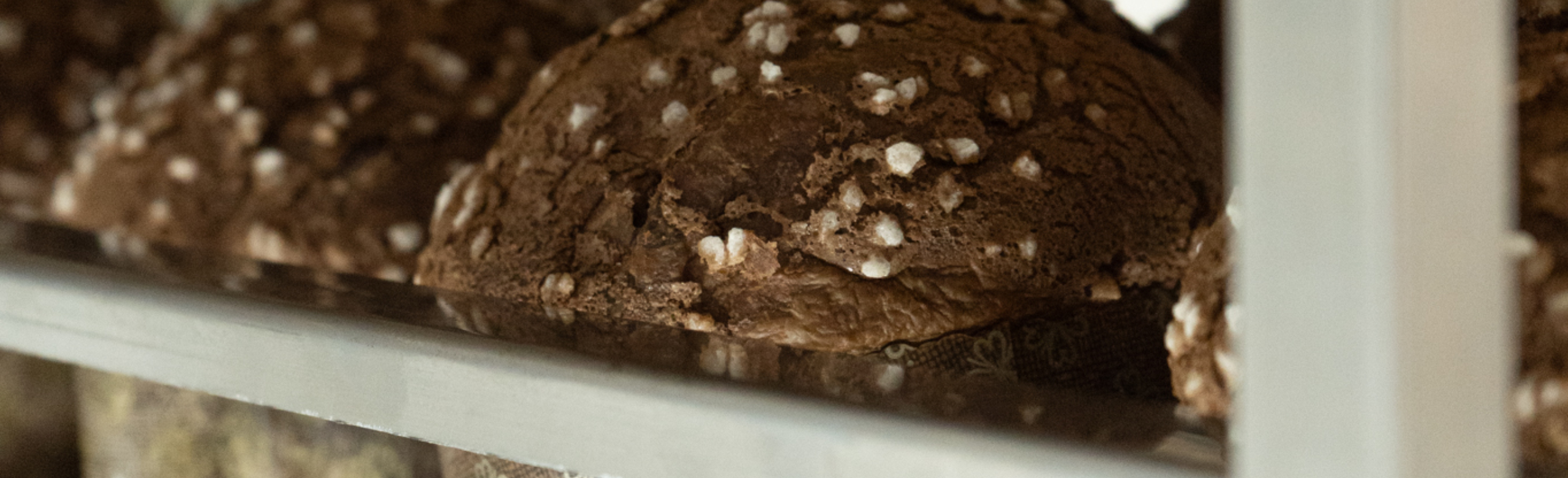 obrador desucre panettone chocolate